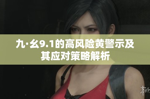 九·幺9.1的高风险黄警示及其应对策略解析