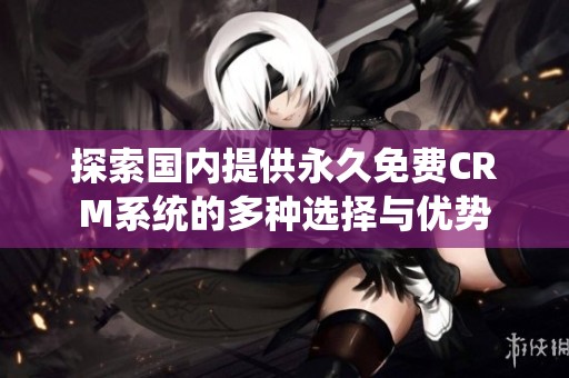 探索国内提供永久免费CRM系统的多种选择与优势