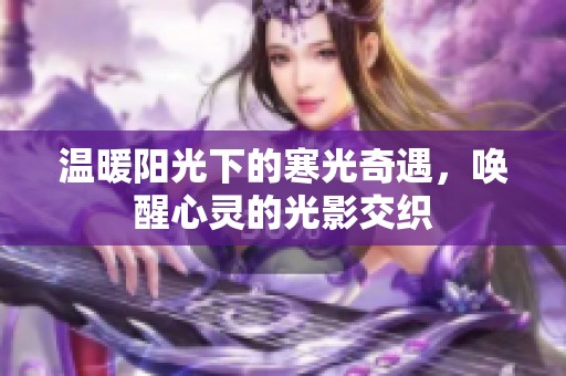 温暖阳光下的寒光奇遇，唤醒心灵的光影交织