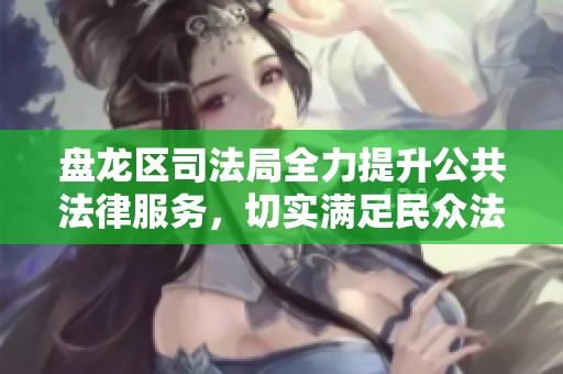 盘龙区司法局全力提升公共法律服务，切实满足民众法律需求