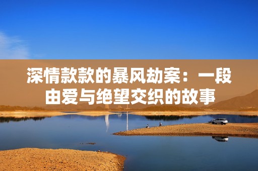 深情款款的暴风劫案：一段由爱与绝望交织的故事