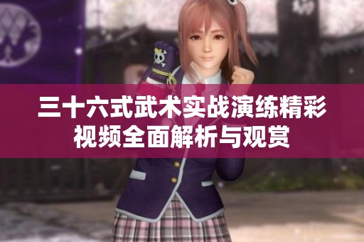 三十六式武术实战演练精彩视频全面解析与观赏