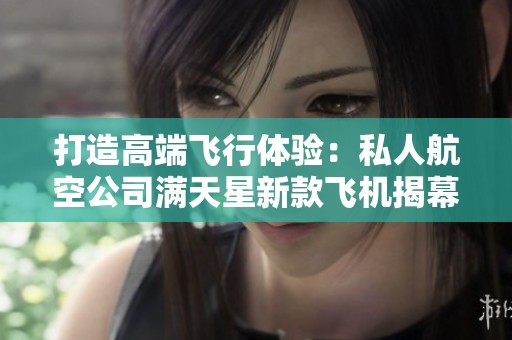 打造高端飞行体验：私人航空公司满天星新款飞机揭幕