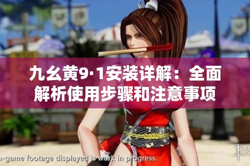 九幺黄9·1安装详解：全面解析使用步骤和注意事项