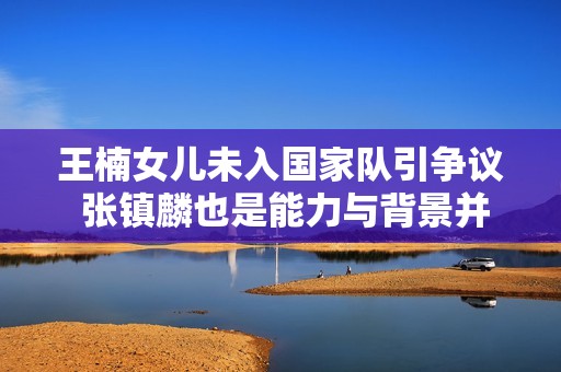王楠女儿未入国家队引争议 张镇麟也是能力与背景并重