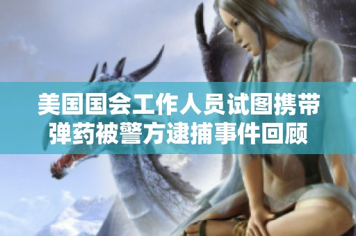 美国国会工作人员试图携带弹药被警方逮捕事件回顾