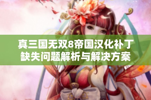 真三国无双8帝国汉化补丁缺失问题解析与解决方案