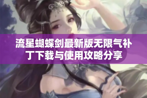 流星蝴蝶剑最新版无限气补丁下载与使用攻略分享