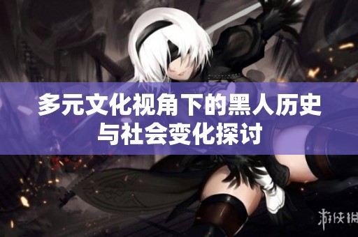 多元文化视角下的黑人历史与社会变化探讨