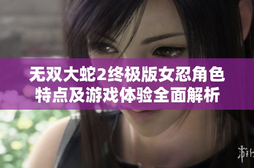 无双大蛇2终极版女忍角色特点及游戏体验全面解析