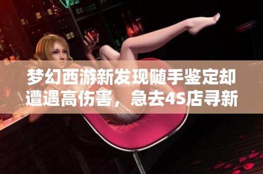 梦幻西游新发现随手鉴定却遭遇高伤害，急去4S店寻新车解烦恼
