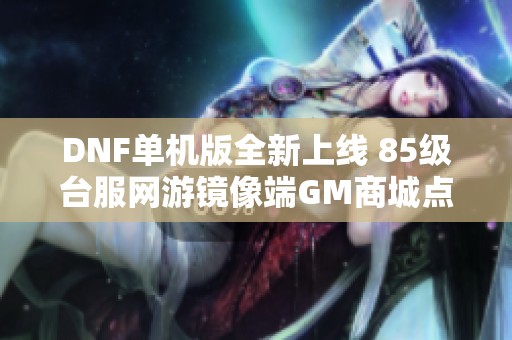 DNF单机版全新上线 85级台服网游镜像端GM商城点卷火热开放