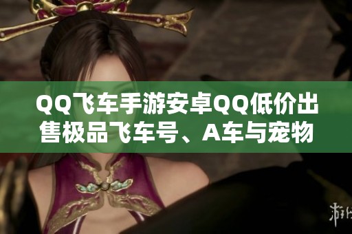 QQ飞车手游安卓QQ低价出售极品飞车号、A车与宠物