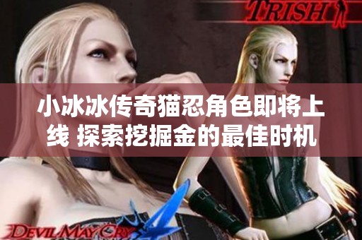 小冰冰传奇猫忍角色即将上线 探索挖掘金的最佳时机
