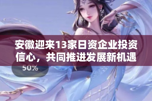 安徽迎来13家日资企业投资信心，共同推进发展新机遇