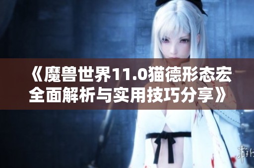《魔兽世界11.0猫德形态宏全面解析与实用技巧分享》