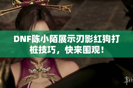 DNF陈小陌展示刃影红狗打桩技巧，快来围观！