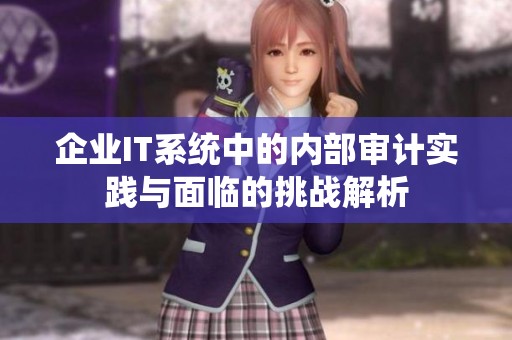企业IT系统中的内部审计实践与面临的挑战解析