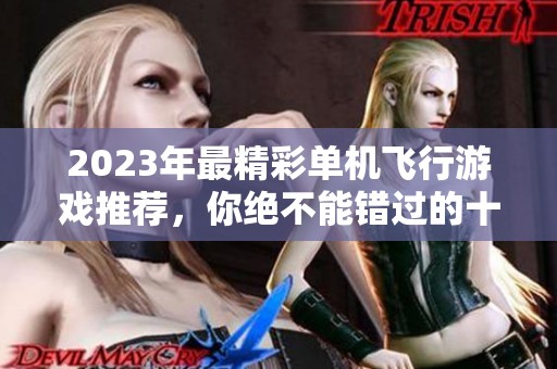 2023年最精彩单机飞行游戏推荐，你绝不能错过的十大款式