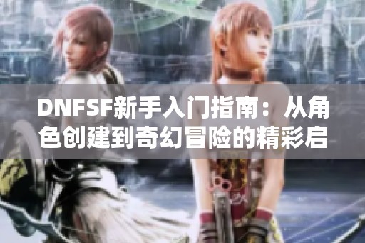 DNFSF新手入门指南：从角色创建到奇幻冒险的精彩启程