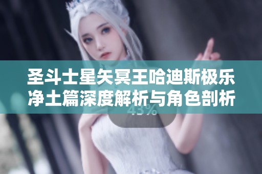 圣斗士星矢冥王哈迪斯极乐净土篇深度解析与角色剖析
