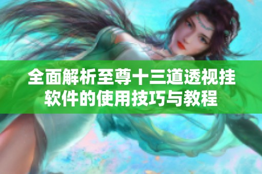 全面解析至尊十三道透视挂软件的使用技巧与教程