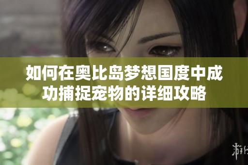 如何在奥比岛梦想国度中成功捕捉宠物的详细攻略