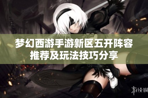 梦幻西游手游新区五开阵容推荐及玩法技巧分享