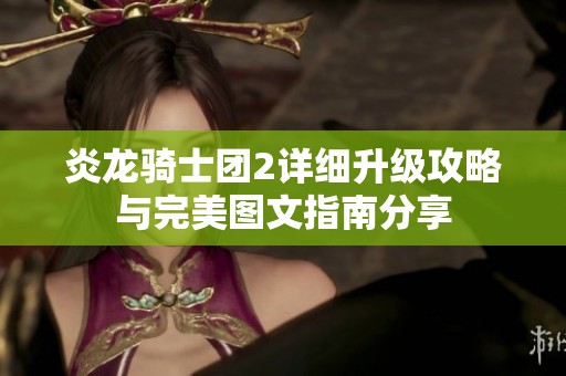 炎龙骑士团2详细升级攻略与完美图文指南分享