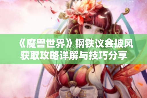 《魔兽世界》钢铁议会披风获取攻略详解与技巧分享