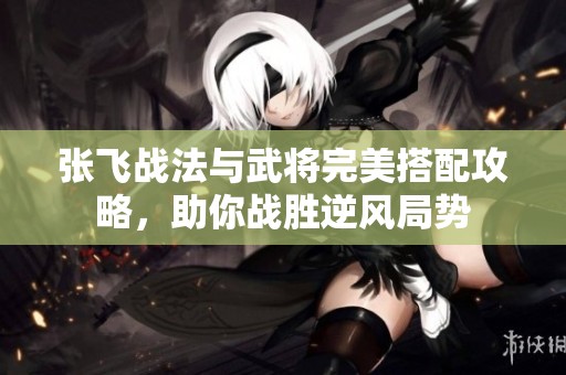张飞战法与武将完美搭配攻略，助你战胜逆风局势
