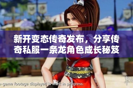 新开变态传奇发布，分享传奇私服一条龙角色成长秘笈