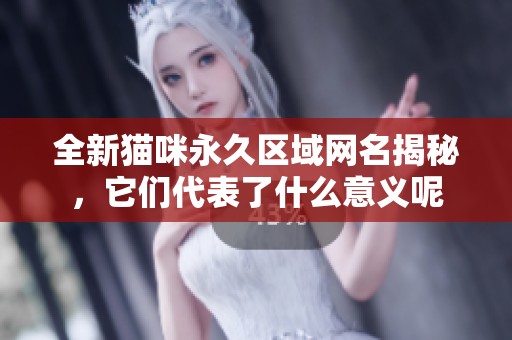 全新猫咪永久区域网名揭秘，它们代表了什么意义呢