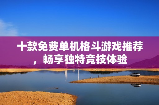 十款免费单机格斗游戏推荐，畅享独特竞技体验