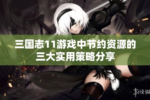 三国志11游戏中节约资源的三大实用策略分享
