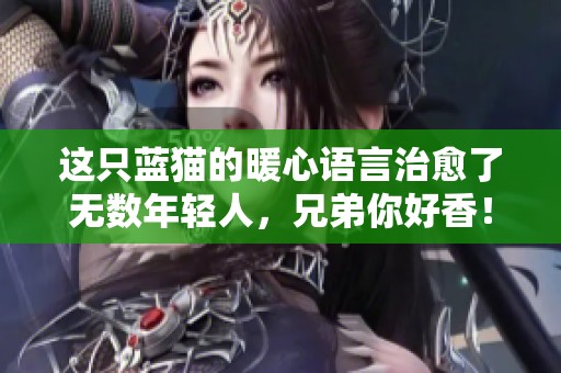 这只蓝猫的暖心语言治愈了无数年轻人，兄弟你好香！
