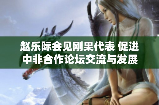 赵乐际会见刚果代表 促进中非合作论坛交流与发展