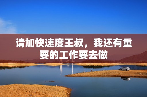 请加快速度王叔，我还有重要的工作要去做