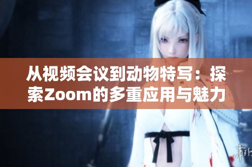 从视频会议到动物特写：探索Zoom的多重应用与魅力