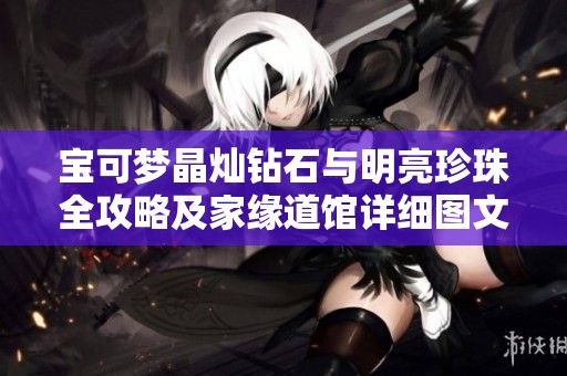 宝可梦晶灿钻石与明亮珍珠全攻略及家缘道馆详细图文教程