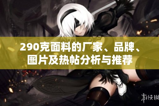 290克面料的厂家、品牌、图片及热帖分析与推荐