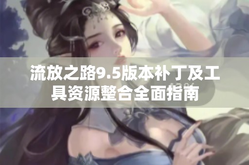 流放之路9.5版本补丁及工具资源整合全面指南