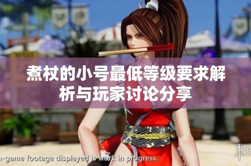煮杖的小号最低等级要求解析与玩家讨论分享