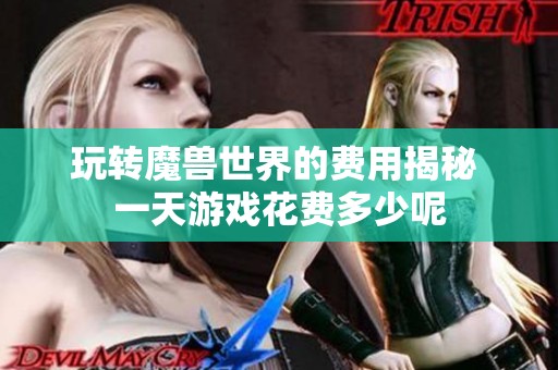 玩转魔兽世界的费用揭秘 一天游戏花费多少呢