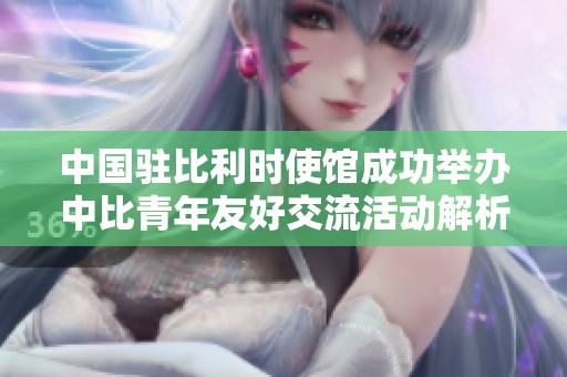 中国驻比利时使馆成功举办中比青年友好交流活动解析