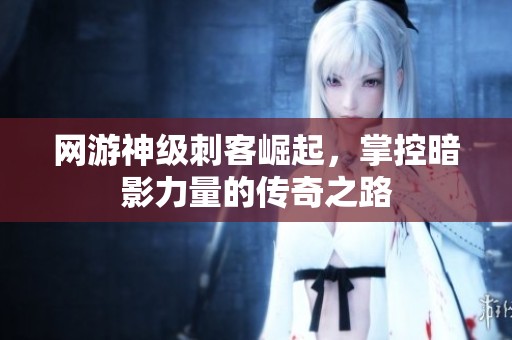网游神级刺客崛起，掌控暗影力量的传奇之路