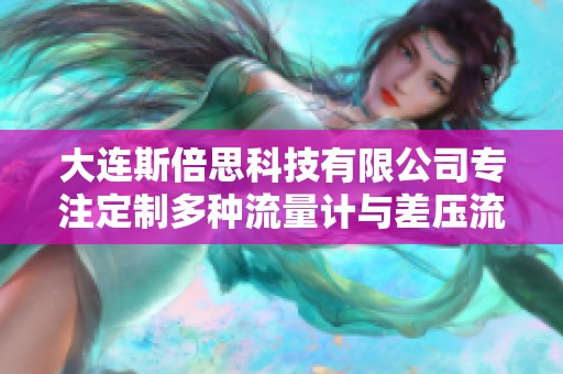 大连斯倍思科技有限公司专注定制多种流量计与差压流量计解决方案