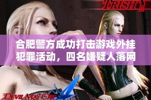 合肥警方成功打击游戏外挂犯罪活动，四名嫌疑人落网