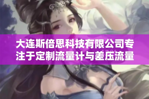 大连斯倍思科技有限公司专注于定制流量计与差压流量计解决方案