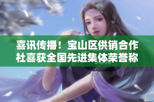喜讯传播！宝山区供销合作社喜获全国先进集体荣誉称号